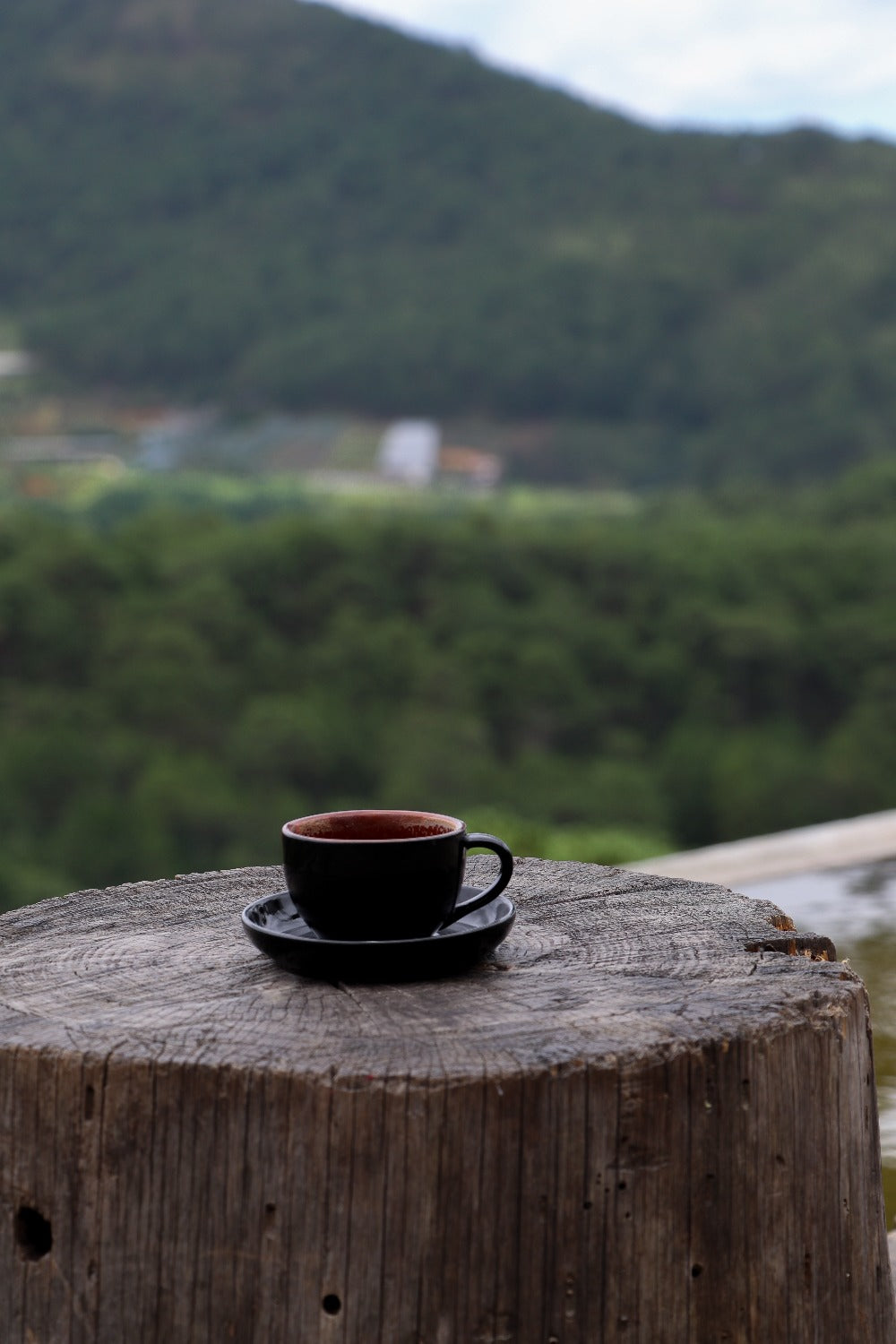 Coffee cup and mountains