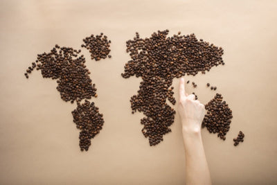 Discover Four Different Types of Coffee from Around the World